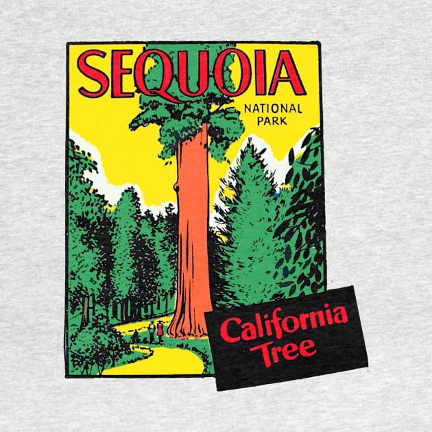 SEQUOIA NATIONAL PARK Vintage Style by zsonn